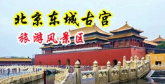 欧美叼黄妹中国北京-东城古宫旅游风景区